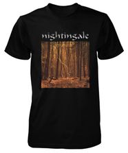 SM17-Nightingale - I_small